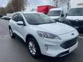 Ford Kuga Kuga 1.5 ecoblue Titanium X 2wd 120cv auto Wit - thumbnail 3