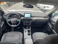 Ford Kuga Kuga 1.5 ecoblue Titanium X 2wd 120cv auto Wit - thumbnail 11