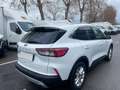 Ford Kuga Kuga 1.5 ecoblue Titanium X 2wd 120cv auto Wit - thumbnail 4