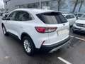 Ford Kuga Kuga 1.5 ecoblue Titanium X 2wd 120cv auto Wit - thumbnail 6