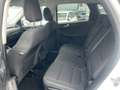 Ford Kuga Kuga 1.5 ecoblue Titanium X 2wd 120cv auto Wit - thumbnail 12