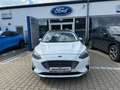 Ford Focus 1.5 Turnier Autom. TITANIUM AHK LED PANO Wit - thumbnail 2