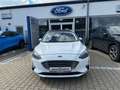 Ford Focus 1.5 Turnier Autom. TITANIUM *AHK*LED*PANO* Blanc - thumbnail 2