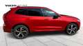 Volvo XC60 B4 Mild Hybrid, Plus Dark Rosso - thumbnail 5
