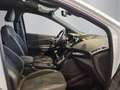Ford Kuga ST-Line Weiß - thumbnail 11