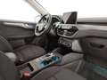 Ford Kuga 2.5 phev Titanium 2wd 225cv e-shifter Grey - thumbnail 7