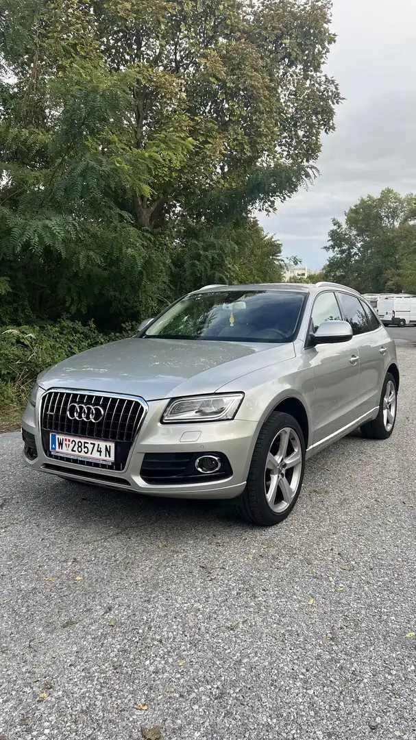 Audi Q5 2,0 TDI quattro S-tronic, seltene Vollausstattung - 1