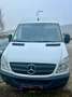 Mercedes-Benz Sprinter 2.1 CDI VTG Blanc - thumbnail 1