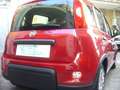 Fiat Panda 1.0 FireFly S&S Hybrid Pandina Urban Radio Km 0 Rosso - thumbnail 10