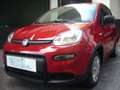 Fiat Panda 1.0 FireFly S&S Hybrid Pandina Urban Radio Km 0 Rosso - thumbnail 2