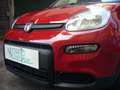 Fiat Panda 1.0 FireFly S&S Hybrid Pandina Urban Radio Km 0 Rosso - thumbnail 3