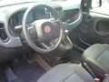 Fiat Panda 1.0 FireFly S&S Hybrid Pandina Urban Radio Km 0 Rosso - thumbnail 15