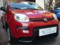 Fiat Panda 1.0 FireFly S&S Hybrid Pandina Urban Radio Km 0 Rosso - thumbnail 8