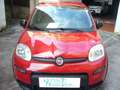 Fiat Panda 1.0 FireFly S&S Hybrid Pandina Urban Radio Km 0 Rosso - thumbnail 6