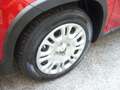 Fiat Panda 1.0 FireFly S&S Hybrid Pandina Urban Radio Km 0 Rosso - thumbnail 4