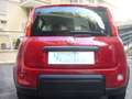 Fiat Panda 1.0 FireFly S&S Hybrid Pandina Urban Radio Km 0 Rosso - thumbnail 13