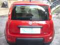 Fiat Panda 1.0 FireFly S&S Hybrid Pandina Urban Radio Km 0 Rosso - thumbnail 12
