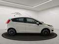 Ford Fiesta 1.5 Diesel  Shz Blth Blanc - thumbnail 6