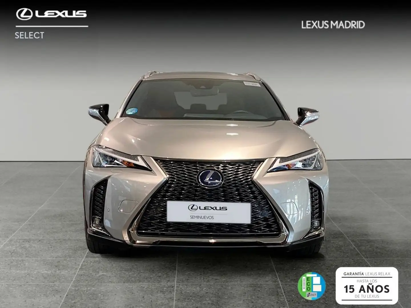 Lexus UX 250h 2.0 F Sport Zilver - 2