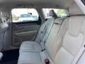 Volvo V90 V90 2021 2.0 b4 Core awd auto Nero - thumbnail 8