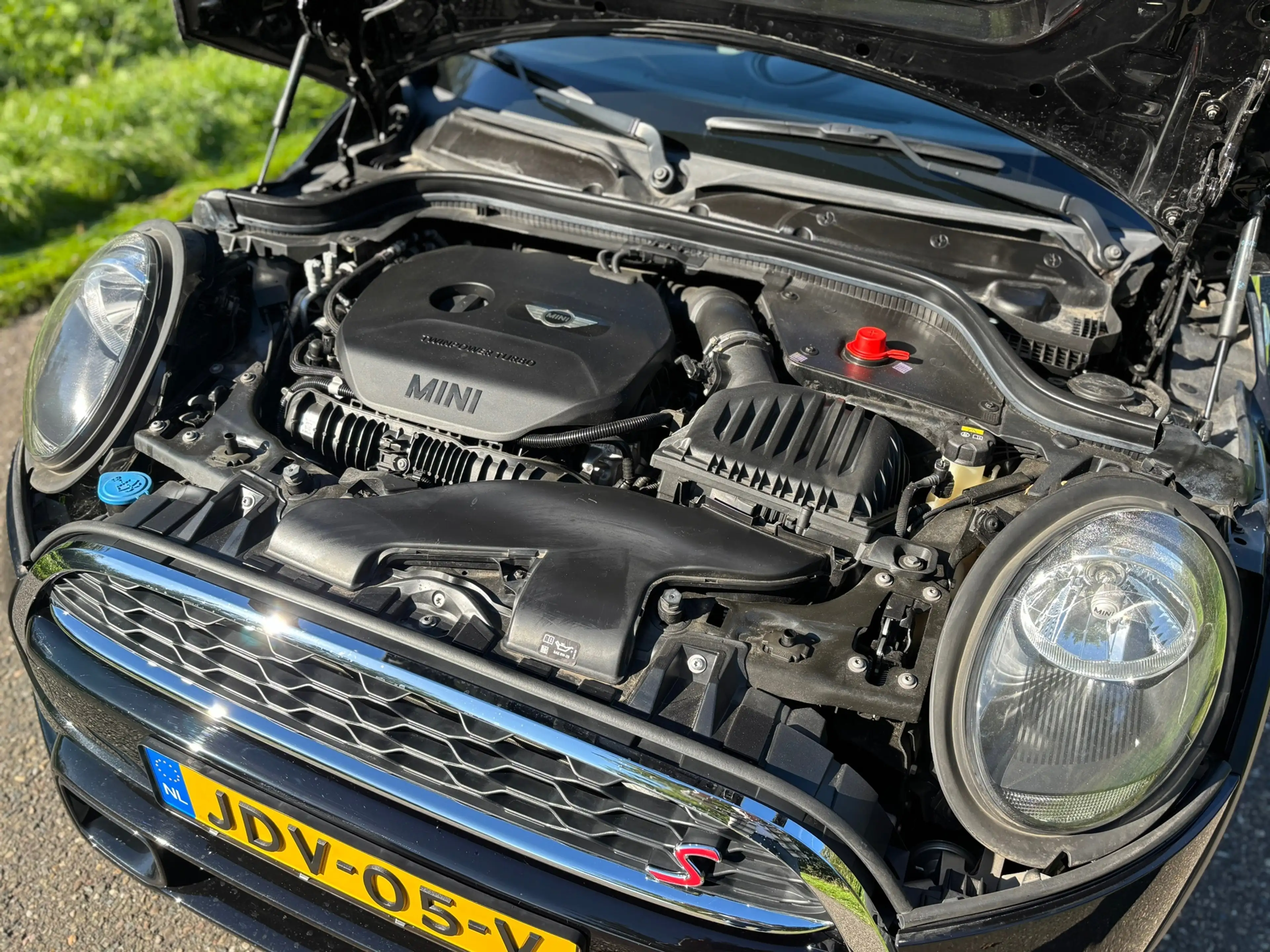MINI Cooper S Cabrio 2.0 Chili Serious Business Aut/Leder/Camera — photo 4