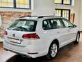 Volkswagen Golf Variant 1.6 TDI DSG Comfortline LED Navi Weiß - thumbnail 7