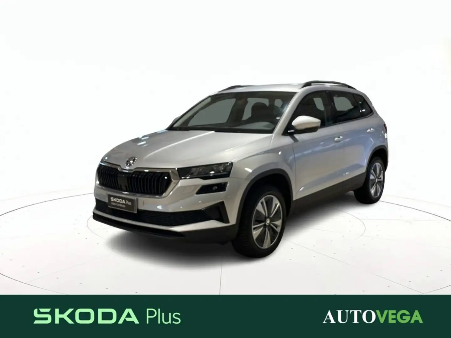 Skoda Karoq 2.0 tdi evo executive 115cv dsg Grigio - 1