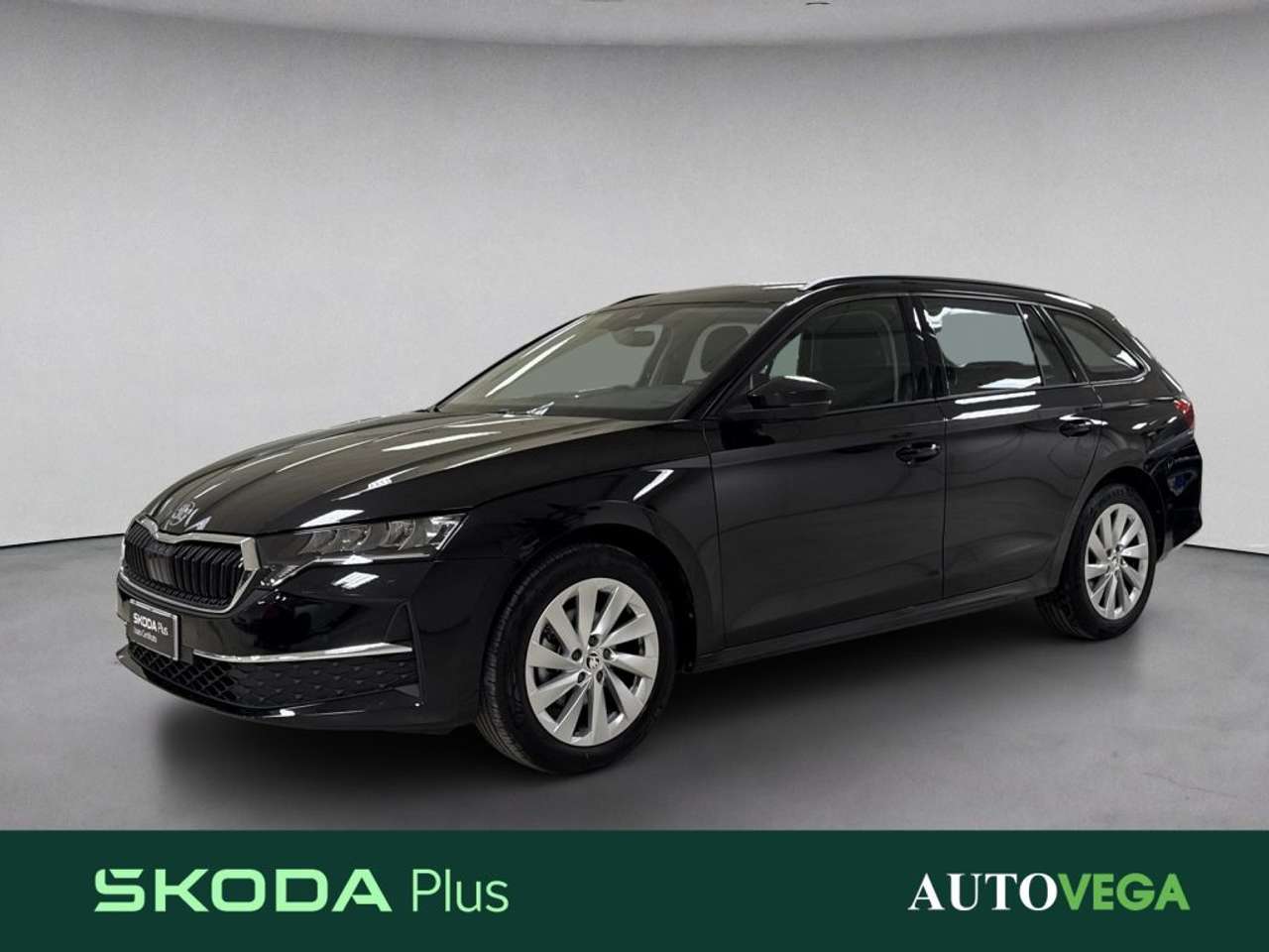 Skoda Octavia wagon 2.0 tdi executive 115cv