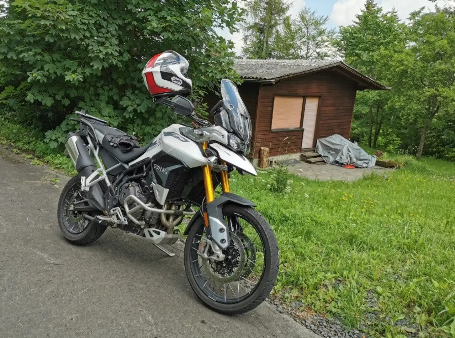 Triumph Tiger 900 Rally Pro Blanc - 1