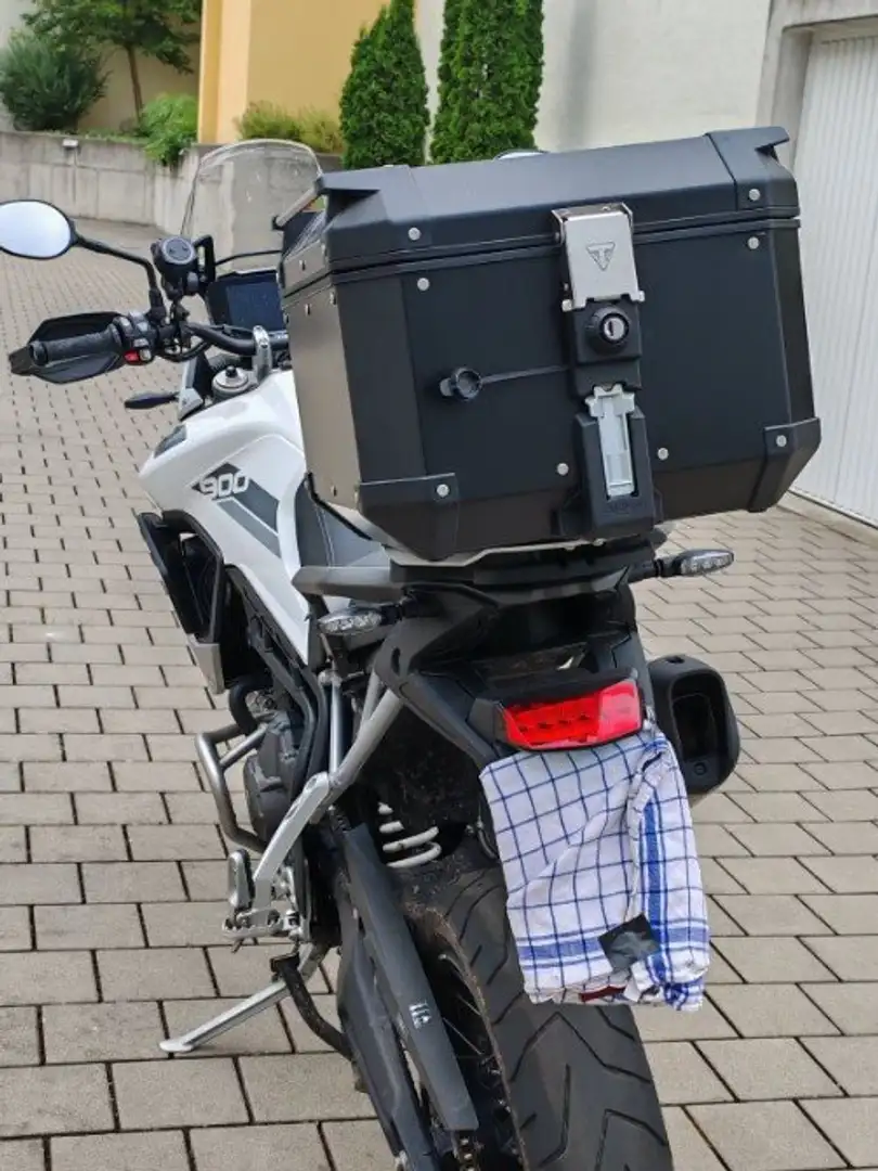 Triumph Tiger 900 Rally Pro Blanc - 2