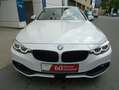 BMW 420 D Sport,SAG,360°,ACC,Memory Weiß - thumbnail 12