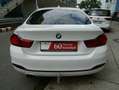 BMW 420 D Sport,SAG,360°,ACC,Memory Weiß - thumbnail 15