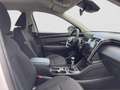 Hyundai TUCSON 1.6 TGDI 150cv 48V Maxx Blanco - thumbnail 15