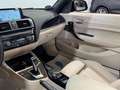 BMW M2 40 i xDrive Cabrio*1.HAND*ACC* Gris - thumbnail 12