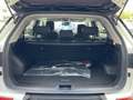 KGM Korando KGM Smart Plus, ACC, Black Paket, Automatik Weiß - thumbnail 25