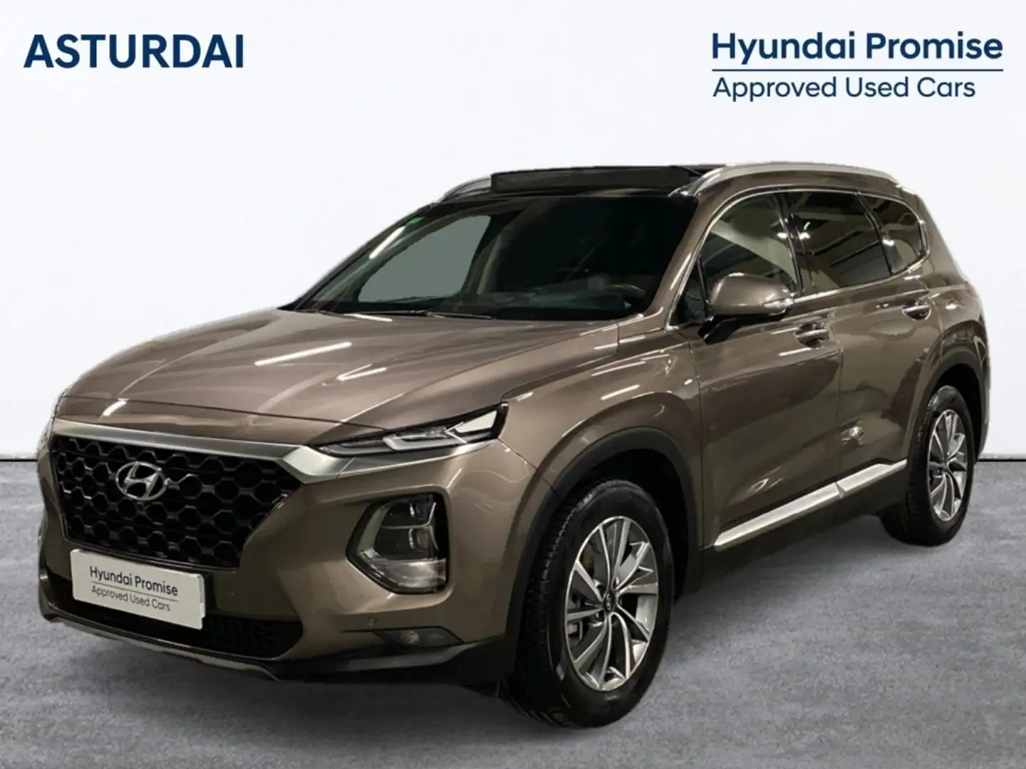 Hyundai SANTA FE Tm 2.2CRDi Style DS 4x4 Aut. Gris - 1