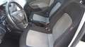 SEAT Ibiza 1.6 TDI 90cv Reference Blanco - thumbnail 12