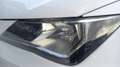 SEAT Ibiza 1.6 TDI 90cv Reference Blanco - thumbnail 7