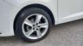 SEAT Ibiza 1.6 TDI 90cv Reference Blanco - thumbnail 9