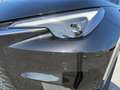 Lexus LBX B-SUV Basis 1.5 TNGA HEV H  (116 hp) stufenlos Schwarz - thumbnail 12