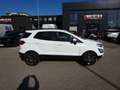 Ford EcoSport 1,0 EcoBoost Cool & Connect Weiß - thumbnail 17