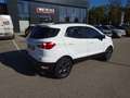 Ford EcoSport 1,0 EcoBoost Cool & Connect Weiß - thumbnail 16