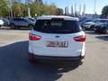 Ford EcoSport 1,0 EcoBoost Cool & Connect Weiß - thumbnail 15