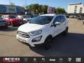 Ford EcoSport 1,0 EcoBoost Cool & Connect Weiß - thumbnail 1