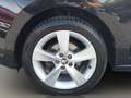 Skoda Sonstige Spaceback Cool Edition, Einparkhilfe, LM-F Schwarz - thumbnail 20