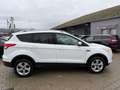 Ford Kuga Sync Edition Weiß - thumbnail 9