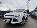 Ford Kuga Sync Edition Weiß - thumbnail 2