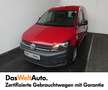 Volkswagen Caddy Kastenwagen Entry TGI Rot - thumbnail 1