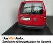 Volkswagen Caddy Kastenwagen Entry TGI Rot - thumbnail 7