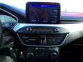 Ford Focus Turnier Cool & Connect Gris - thumbnail 17